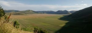 IMG_20160725_184250974