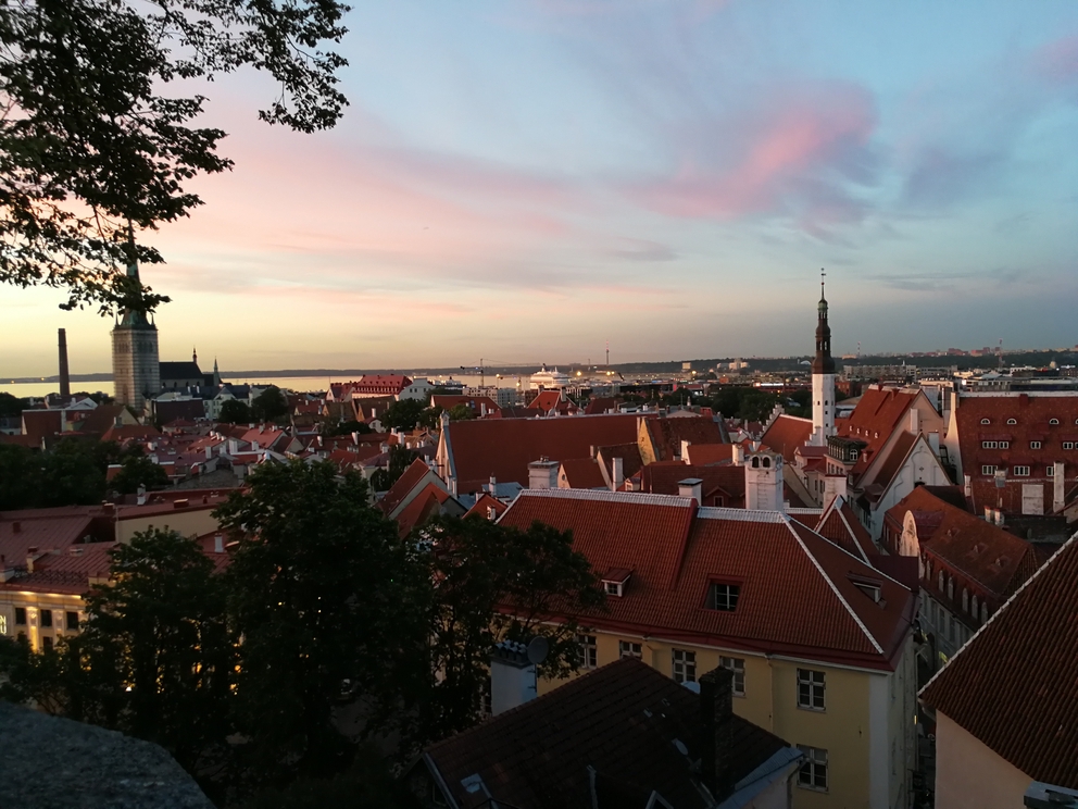 Tallinn (Estland) im Sommer